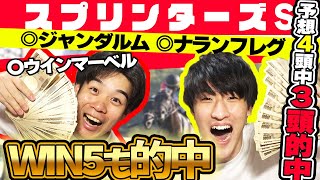 【神回】払い戻し100万円越え！！？下半期G1大勝利！！予想4頭中3頭馬券内の神がかり！！まさかのWIN5も的中でこれ以上なし！！！【スプリンターズステークス2022】