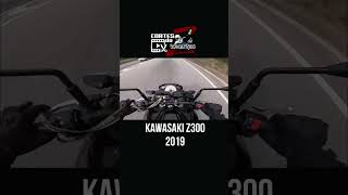 Cortes Rodolfinho da Z- KAWASAKI Z 300 ABS 2019