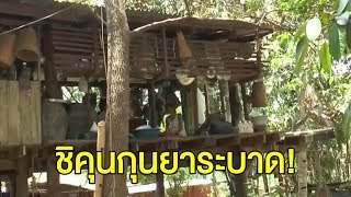 'ชิคุนกุนยา' ระบาดที่หมู่บ้านชาวไทยภูเขาเผ่ากะเหรี่ยง จ.อุทัยธานี พบป่วยแล้ว 16 ราย