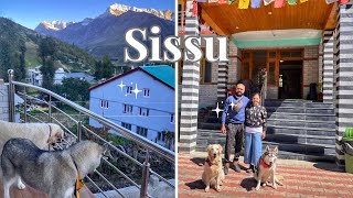 Sissu | Pet friendly stay | Lahaul Valley