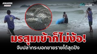 คลื่นแรงออกเรือไม่ได้ ชาวประมงสงขลาลากอวนจับปลากระบอกขายรายได้งาม | อมรินทร์อัปเดต