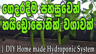 කුඩා හයිඩ්‍රපොනික් වගාවක් ගෙදරදීම | DIY Hydroponic system #hydroponics #soillessfarming