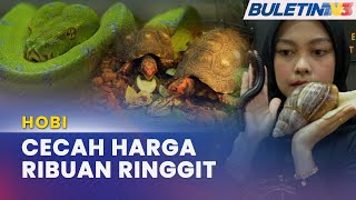 HOBI | Haiwan Eksotik Semakin Digilai