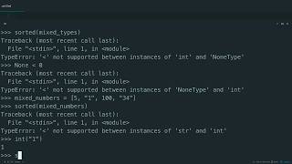 Common Issues with Sorting in Python
