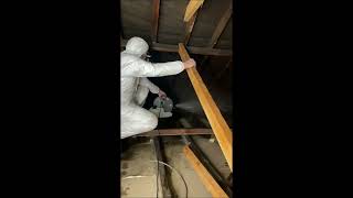 Woodworm spraying