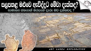 සලපතල මළුවේ ඇවිද්දට මේ සලකුණු දැක්කද?