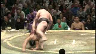 Day08 Hakuho vs Takayasu