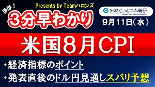 ドル/円見通しズバリ予想、３分早わかり「米国８月ＣＰＩ（消費者物価指数）」2024年9月11日発表