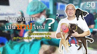 ทำหมันแมว บาปไหม ?