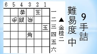 【詰将棋】9手詰双玉20 神吉宏充七段作 将棋世界1999年9月号