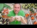 LETS TALK ABOUT MY SNAKES!!! | BRIAN BARCZYK