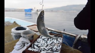 KARABURUN BALIK AVI ( BALIĞIN KALBİNİN ATTIĞI YER) #surfcasting #fishing #bakıkavı #istanbulmeraları