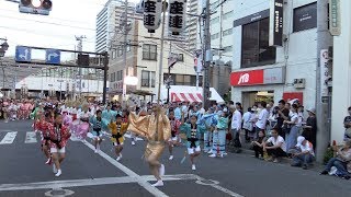 みたか銀座連　流し演舞　第41回小金井阿波おどり 2019.7.27