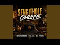 Sengithole Omunye