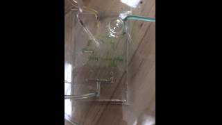 Microfluidics device