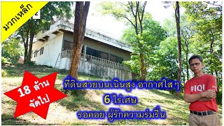 🏡🦋🥀มวกเหล็ก เมืองแห่งการพักผ่อน ที่ดินบนเนินเขาสวย พร้อมด้วยเรือนพักและไม้ใหญ่ ใกล้ๆ มอเตอร์เวย์