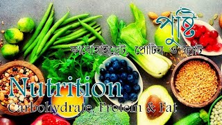 পুষ্টি | প্রথম পর্ব | Nutrition | 1st part