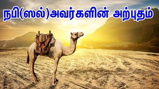 நபி(ஸல்)அவர்களின் அற்புதம் | Tamil Muslim Tv | Tamil Bayan | Islamic Tamil Bayan