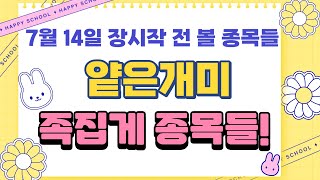 [얕은개미 족집게 종목!]  7월14일 금요일 가장 중요한 장시작전 족집게 종목들 정리!! 장 시작하기전에 무조건 봐야할 중요 이슈들과 종목들!