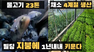 빌딩 옥상에 1200평 농장, 유럽에서 난리난 이유