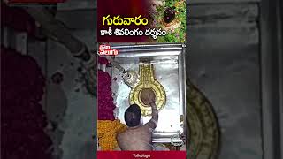 గురువారం కాశీ శివలింగం దర్శనం | kashi vishwanath shivling darshan | Tolivelugu