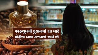 Why Coffee Beans Are Used in Perfume Stores? જવાબ શોધવામાં ઘણા લોકો ગોથું ખાઇ ગયા!