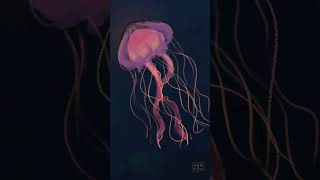 squishy jellyfish | #animation #art