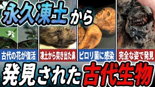 【ゆっくり解説】続々発見！永久凍土から発掘された古代生物5選