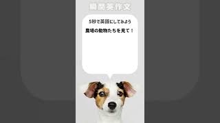 【瞬間英作文】農場の動物たちを見て！