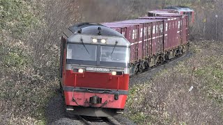 2021.04.14 撮影　常紋峠　石北貨物 玉ねぎ列車　☆北鉄路漫757