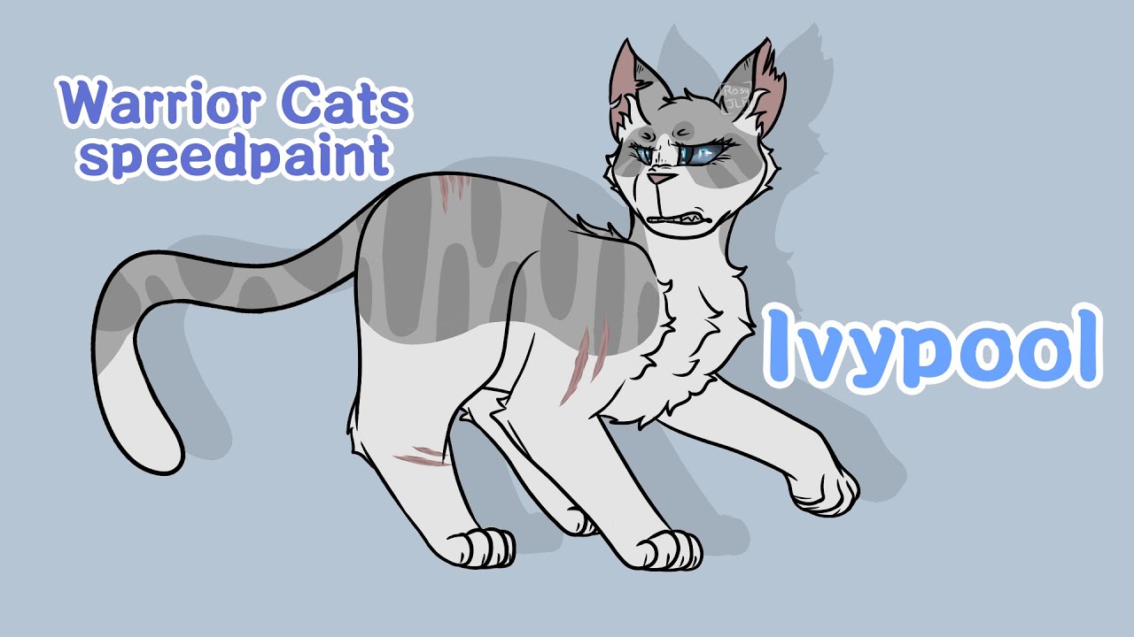 Ivypool Warrior Cats Speedpaint Youtube