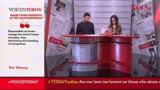 VoicesTODAY asks: Pets, owners \u0026 everyone else - can we all get along?