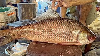 Amazing Big Rohu Fish Cleaning \u0026 Cutting By Expert Fish Cutter | Fish Cutting Skills