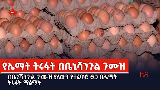 በቤኒሻንጉል ጉሙዝ ያለውን የተፈጥሮ ፀጋ በሌማት ትሩፋት ማልማት  Etv | Ethiopia | News