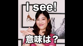 【I see!  意味は？】「動画で観る！聴く！英語辞書動画」