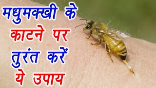 Bee Sting: मधुमक्खी के काटने पर तुरंत करें ये उपाय | Home Remedies for pain \u0026 swelling | Boldsky