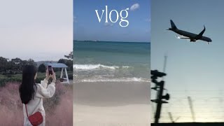 VLOG • 제주 가는 날, Jeju Travel, 2019년 10월 : Day 1 🍊( +강아지 산책 ) | 제주 여행 브이로그