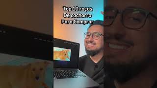 Top 10 raças para comprar #adote #cachorro #pets #cão #amor