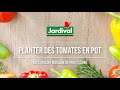 Tuto Jardival - Comment planter des tomates cerises en pot