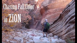 Fall Photography in Zion National Park | w/ Canon EOS R