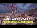 PULAU  PALING SERAM DI MUKA BUMI SAKOTRA  TEMPAT DAJJAL BERSEMAYAM