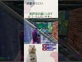 【フォートナイト】リロードランク参加型 shorts フォートナイト