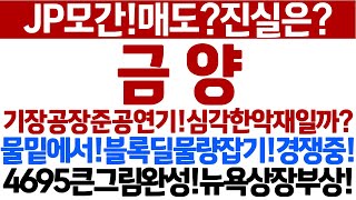 [금양 주가 전망]공장준공연기!JP모간매도?진실은!블록딜물량잡기!큰그림완성!뉴욕직상장!물밑에서외인!국제사모펀드!물량확보중