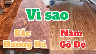 Vì sao Người Bắc thích gỗ Hương Đá Người miền Trung thích gỗ Gõ Đỏ và gỗ nào tốt hơn