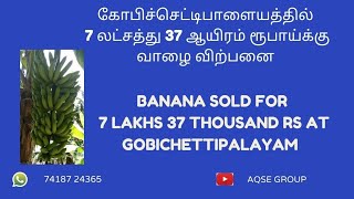 வாழைத்தார் ஏலத்தில் விற்பனை | வாழை ஏல விலை | Banana Auction Report | Gobichettipalayam Agri News