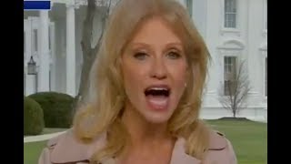 Fox News loses patience with Kellyanne Conway live on air over shutdown