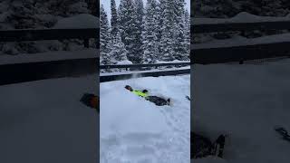 ‼️Powder fanatics‼️ #fun #viralvideo #viralshort #skiingfun #skiing #happy #funny