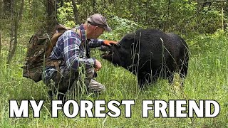 I Never Expected This—Unbelievable Loyalty After Being Rescued | Building a Forest Cabin