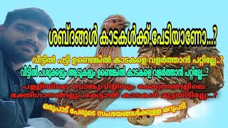 #RITHOOSTips  ശബ്ദം കാടകൾക്ക് പ്രശ്നമാണോ.... ഒരുപാട് പേരുടെ സംശയങ്ങൾക്കുള്ള മറുപടി...