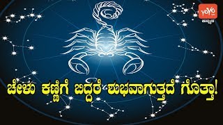 ಚೇಳು ಕಣ್ಣಿಗೆ ಬಿದ್ರೆ ಯಾವ ಫಲ | Kannada Vastu Tips | YOYO TV Kannada